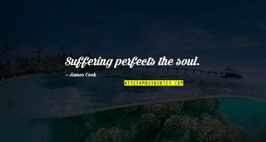 Funny Offend Quotes By James Cook: Suffering perfects the soul.