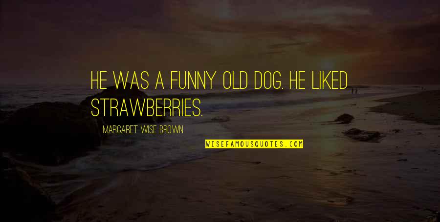 Funny Old Dog Quotes By Margaret Wise Brown: He was a funny old dog. He liked Funny Old Dog Quotes By Margaret Wise Brown: He was a funny old dog. He liked