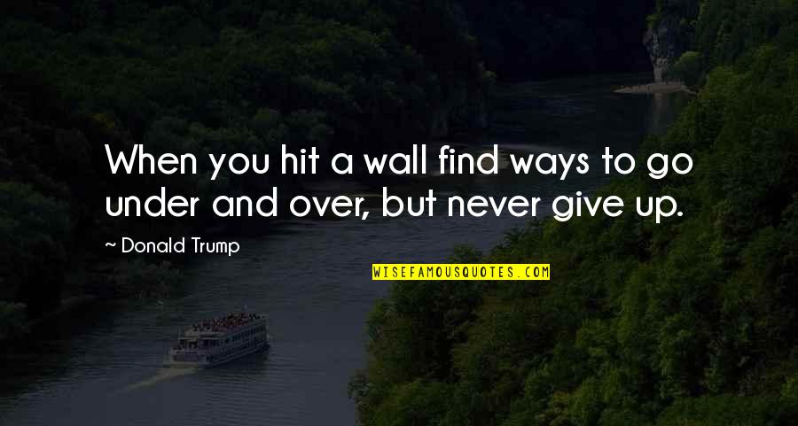 Funny Online Quotes By Donald Trump: When you hit a wall find ways to