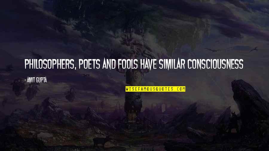 Funny Only Fools Quotes By Amit Gupta: Philosophers, Poets and Fools have similar Consciousness