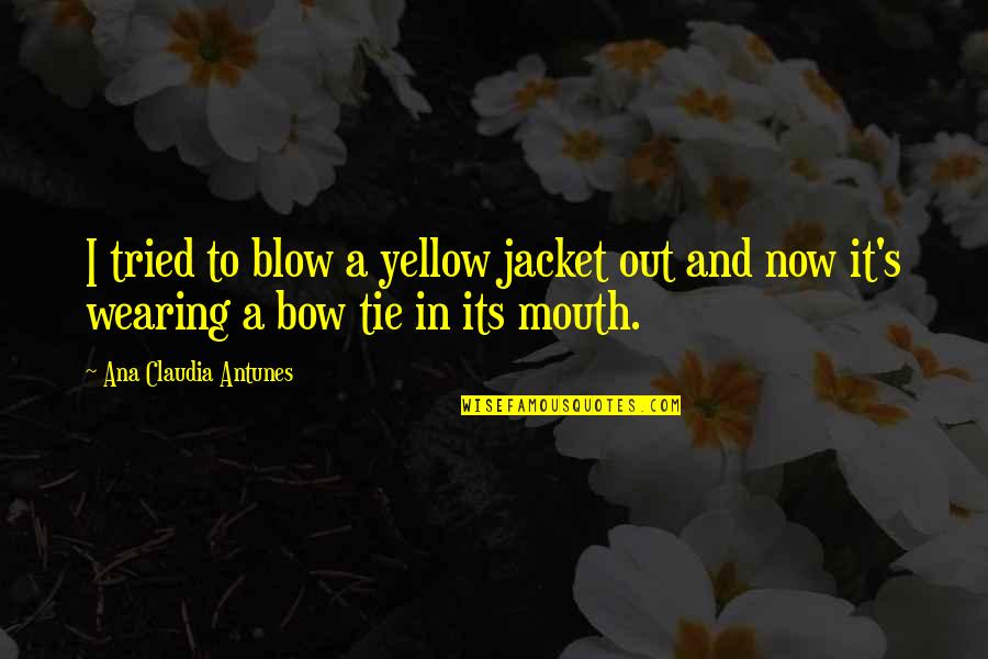 Funny Out Quotes By Ana Claudia Antunes: I tried to blow a yellow jacket out Funny Out Quotes By Ana Claudia Antunes: I tried to blow a yellow jacket out