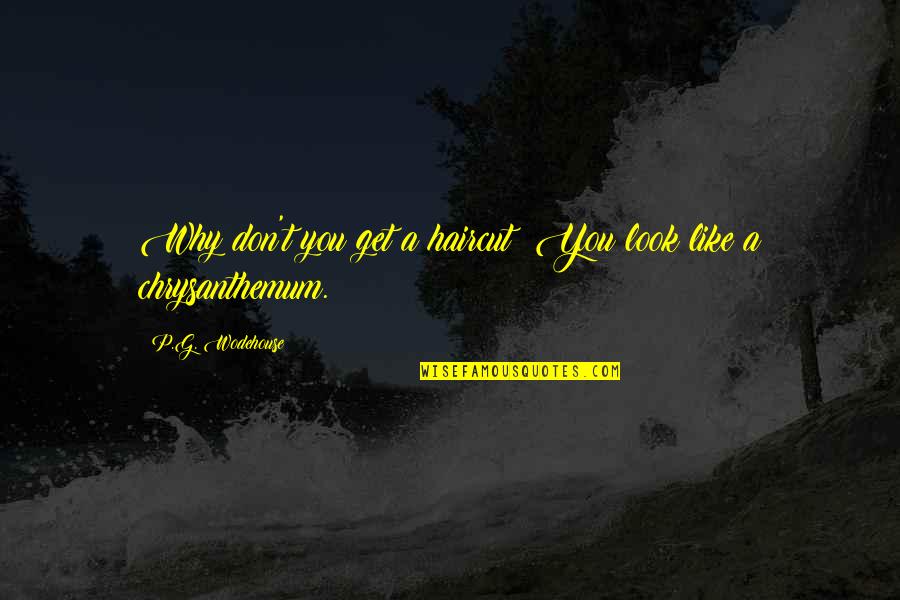 Funny P.s Quotes By P.G. Wodehouse: Why don't you get a haircut? You look