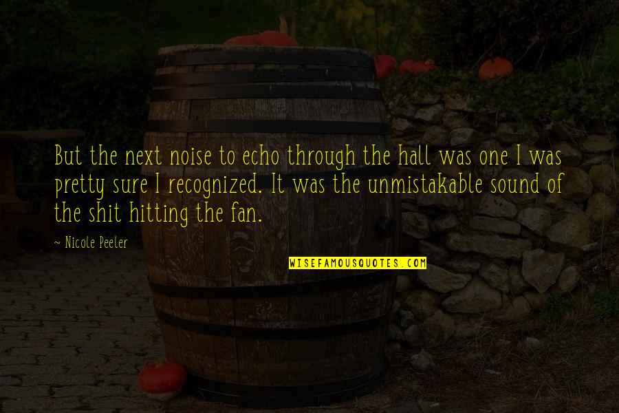 Funny Pagan Min Quotes By Nicole Peeler: But the next noise to echo through the