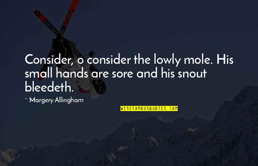 Funny Panic Attack Quotes By Margery Allingham: Consider, o consider the lowly mole. His small