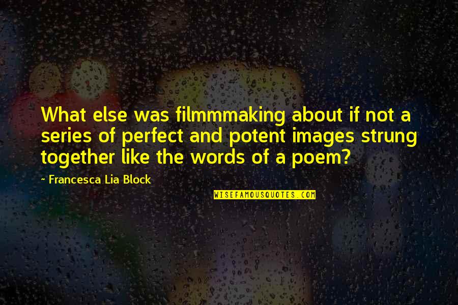 Funny Panty Quotes By Francesca Lia Block: What else was filmmmaking about if not a