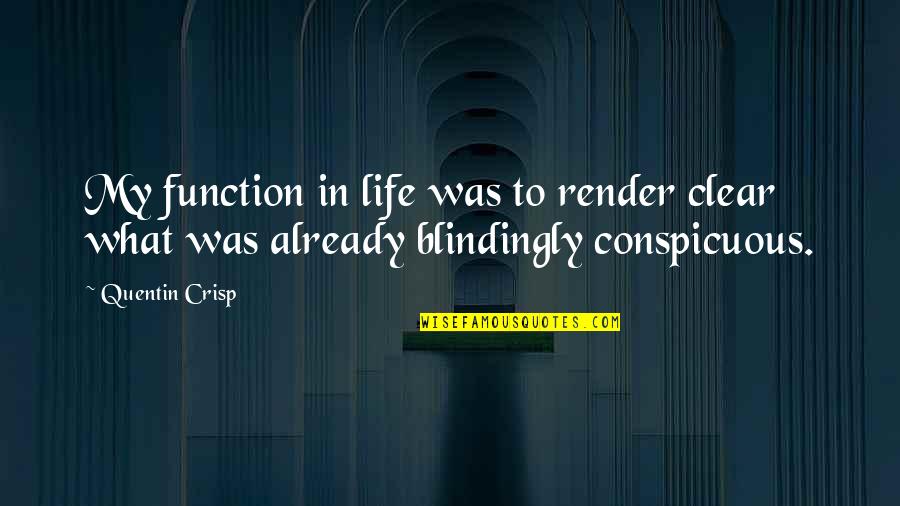 Funny Parenthood Quotes By Quentin Crisp: My function in life was to render clear