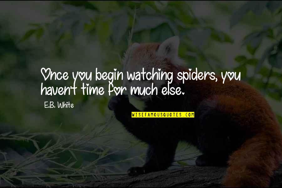Funny Pension Quotes By E.B. White: Once you begin watching spiders, you haven't time