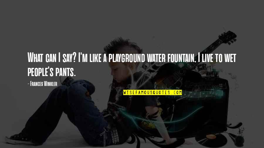 Funny People Quotes By Frances Winkler: What can I say? I'm like a playground