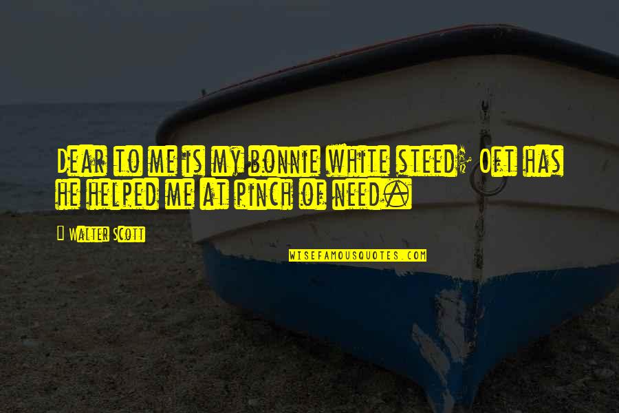 Funny Peter Kay Quotes By Walter Scott: Dear to me is my bonnie white steed;