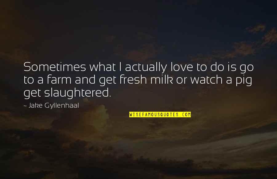 Funny Pigs Quotes By Jake Gyllenhaal: Sometimes what I actually love to do is