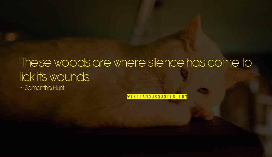 Funny Plastic Surgeon Quotes By Samantha Hunt: These woods are where silence has come to