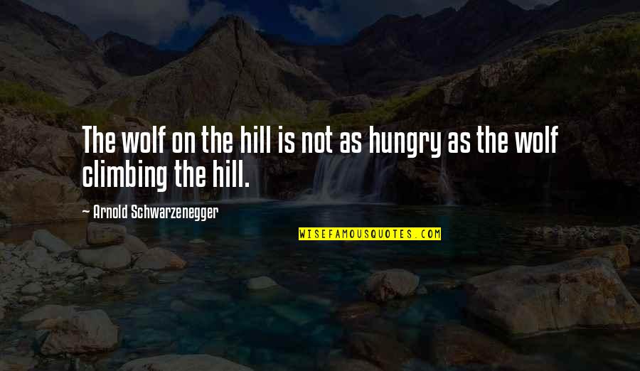 Funny Pool Party Quotes By Arnold Schwarzenegger: The wolf on the hill is not as