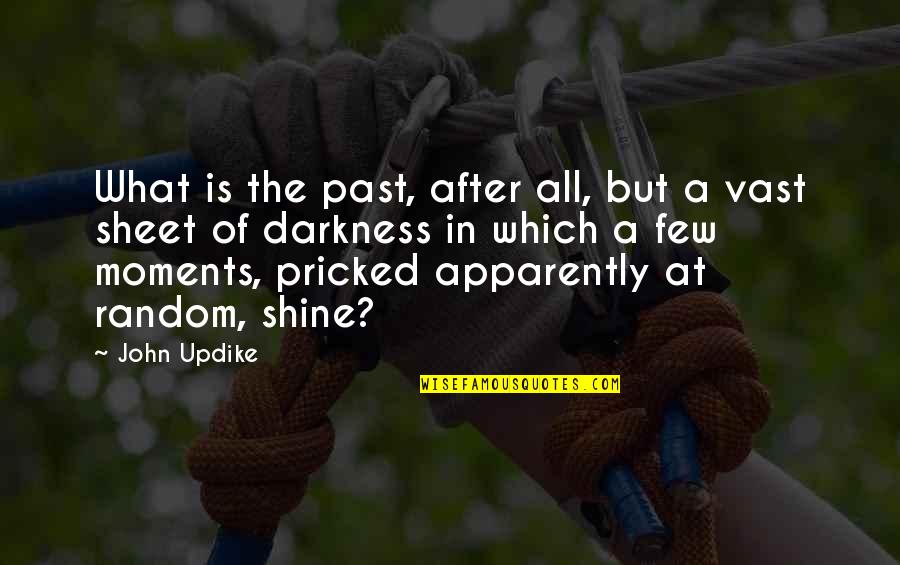 Funny Posers Quotes By John Updike: What is the past, after all, but a