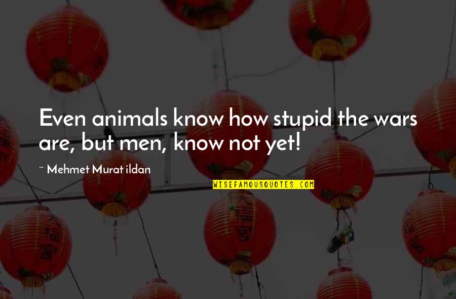 Funny Powderpuff Quotes By Mehmet Murat Ildan: Even animals know how stupid the wars are,