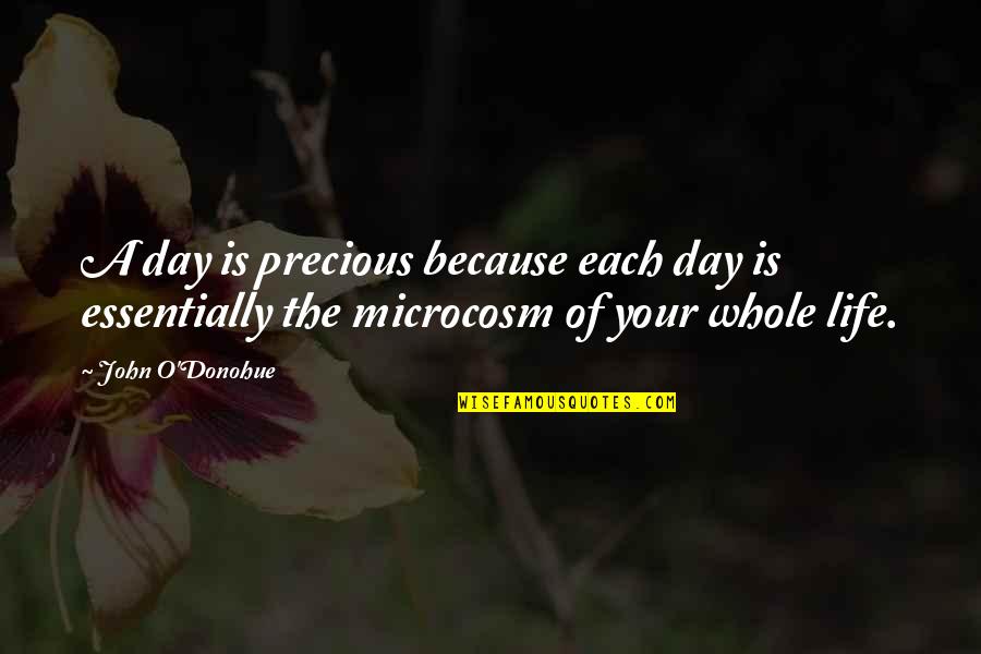 Funny Powerpoint Quotes By John O'Donohue: A day is precious because each day is