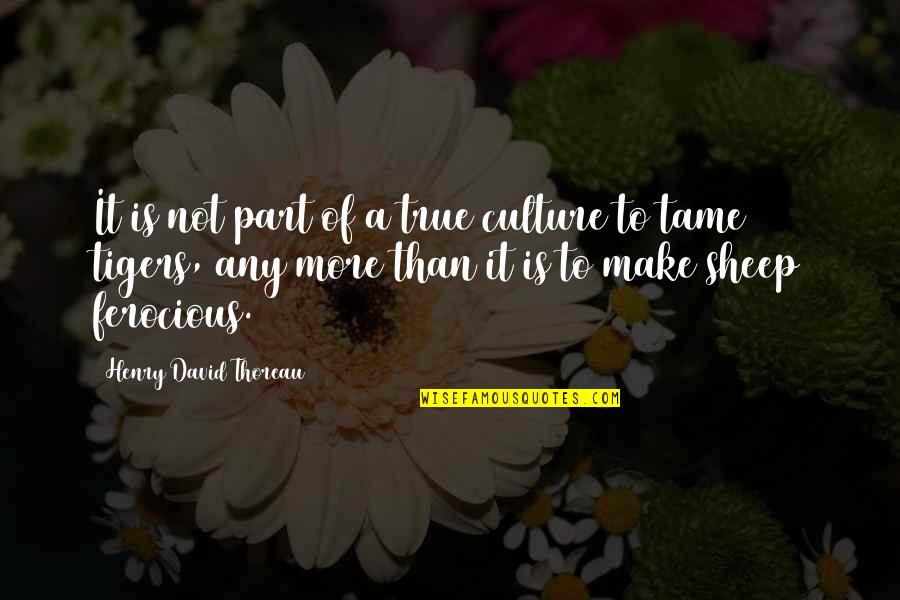 Funny Probation Officer Quotes By Henry David Thoreau: It is not part of a true culture