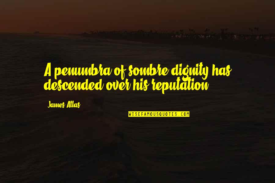 Funny Promotions Quotes By James Atlas: A penumbra of sombre dignity has descended over