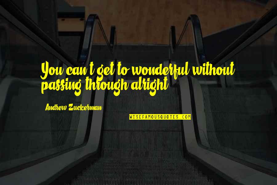 Funny Psychology Quotes By Andrew Zuckerman: You can't get to wonderful without passing through