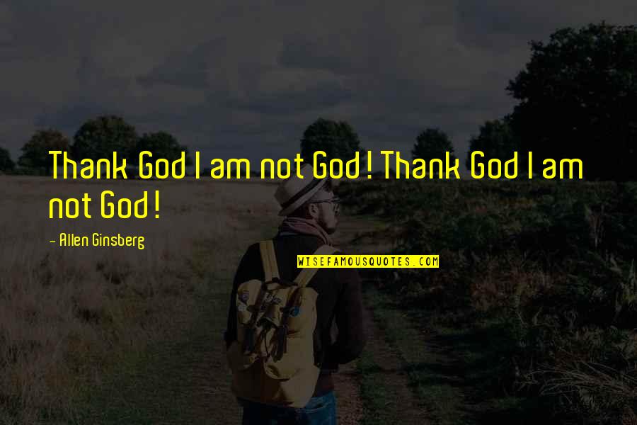 Funny Public Toilet Quotes By Allen Ginsberg: Thank God I am not God! Thank God