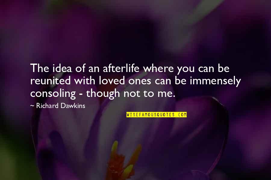 Funny Punctuation Quotes By Richard Dawkins: The idea of an afterlife where you can
