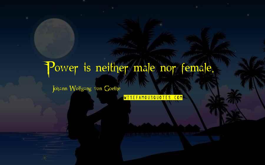 Funny Puppies Quotes By Johann Wolfgang Von Goethe: Power is neither male nor female.