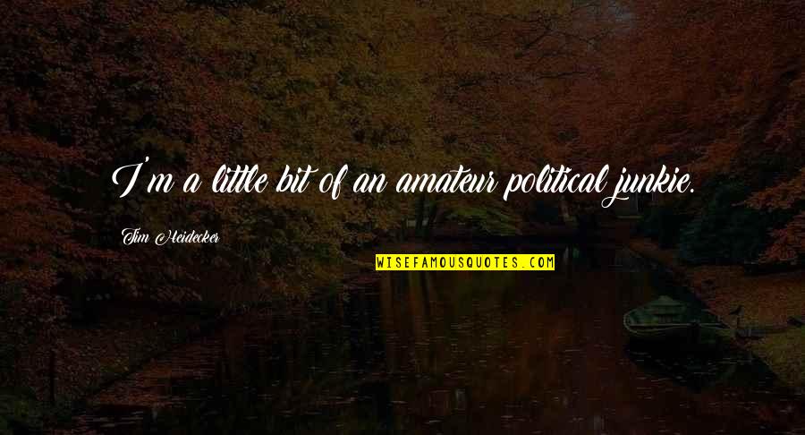 Funny Purses Quotes By Tim Heidecker: I'm a little bit of an amateur political