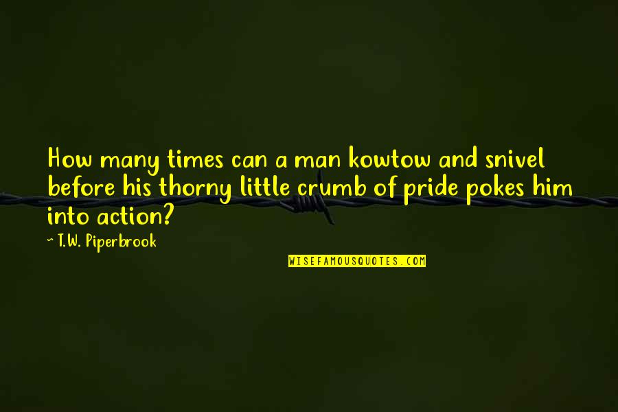 Funny Questions Quotes By T.W. Piperbrook: How many times can a man kowtow and