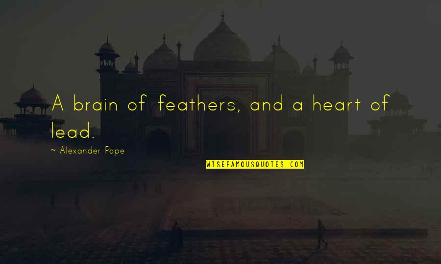 Funny Ravens Quotes By Alexander Pope: A brain of feathers, and a heart of Funny Ravens Quotes By Alexander Pope: A brain of feathers, and a heart of