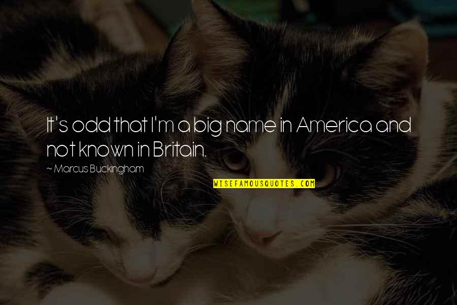Funny Reaction Quotes By Marcus Buckingham: It's odd that I'm a big name in Funny Reaction Quotes By Marcus Buckingham: It's odd that I'm a big name in