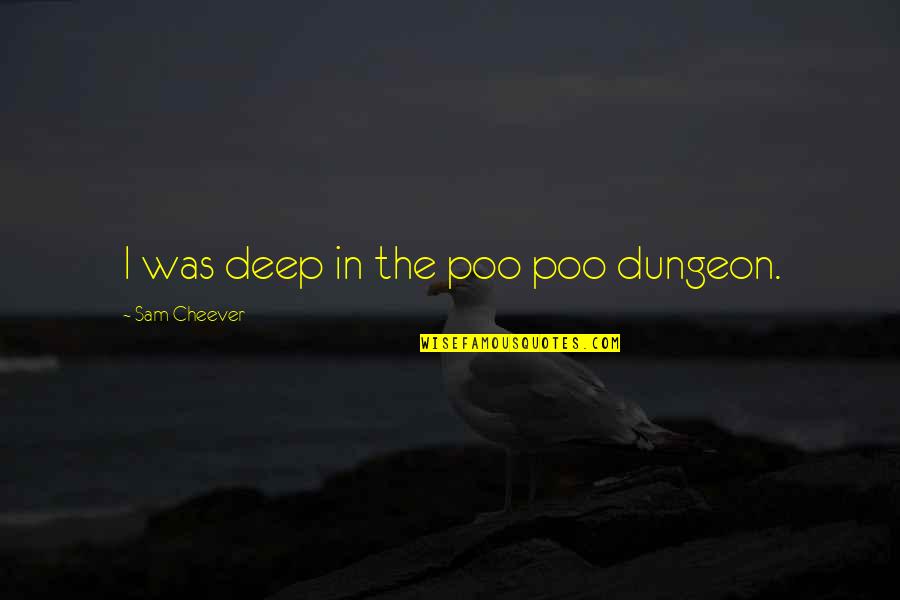 Funny Realists Quotes By Sam Cheever: I was deep in the poo poo dungeon.