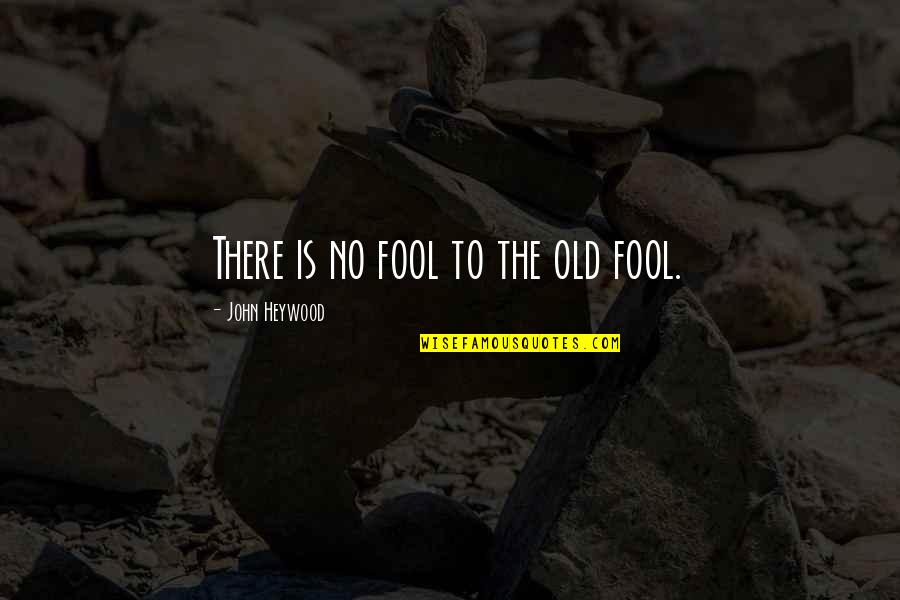 Funny Rebellious Quotes By John Heywood: There is no fool to the old fool.