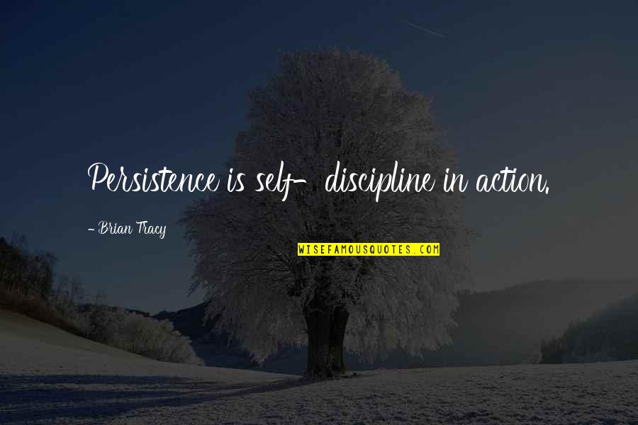 Funny Receding Hairline Quotes By Brian Tracy: Persistence is self-discipline in action.