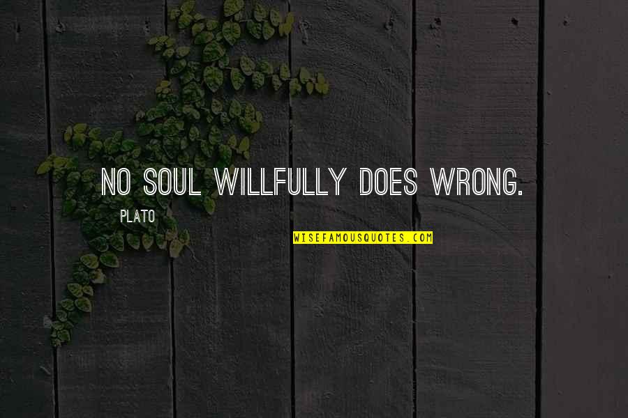 Funny Relationship Short Quotes By Plato: No soul willfully does wrong.