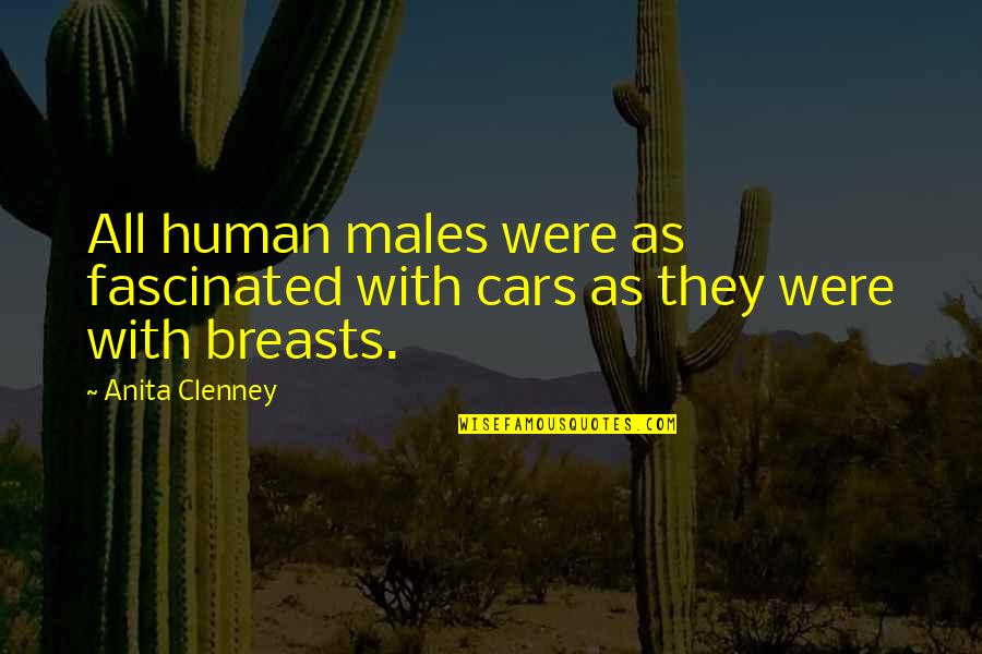Funny Relationships Quotes By Anita Clenney: All human males were as fascinated with cars