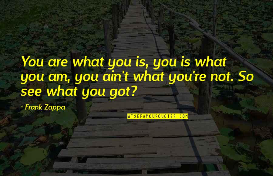 Funny Relaxation Quotes By Frank Zappa: You are what you is, you is what