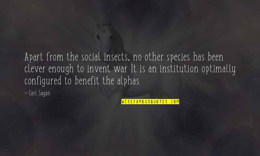 Funny Reports Quotes By Carl Sagan: Apart from the social insects, no other species Funny Reports Quotes By Carl Sagan: Apart from the social insects, no other species