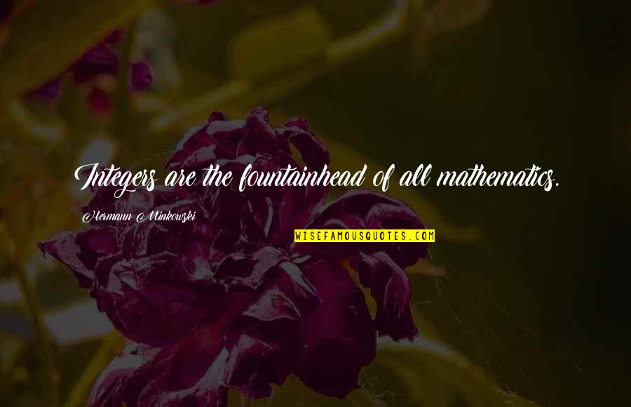 Funny Roberto Clemente Quotes By Hermann Minkowski: Integers are the fountainhead of all mathematics.