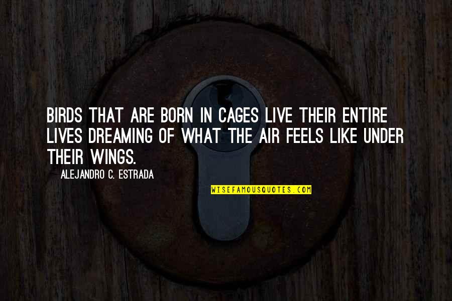 Funny Rockabilly Quotes By Alejandro C. Estrada: Birds that are born in cages live their