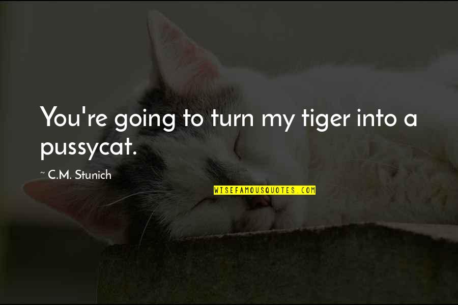Funny Rockabilly Quotes By C.M. Stunich: You're going to turn my tiger into a