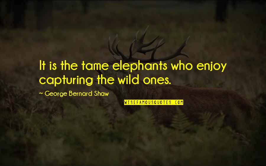 Funny Rocking Chair Quotes By George Bernard Shaw: It is the tame elephants who enjoy capturing