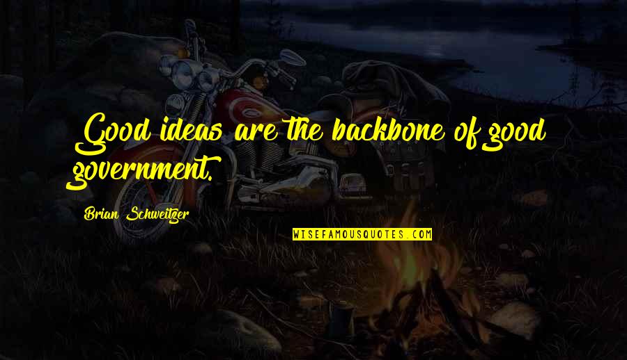 Funny Rofl Quotes By Brian Schweitzer: Good ideas are the backbone of good government.