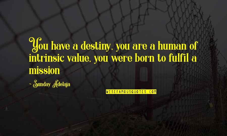 Funny Roger Quotes By Sunday Adelaja: You have a destiny, you are a human