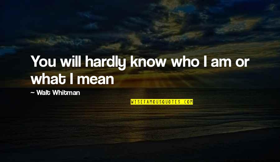 Funny Rza Quotes By Walt Whitman: You will hardly know who I am or