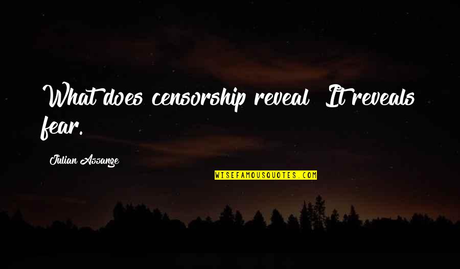 Funny Sagging Breasts Quotes By Julian Assange: What does censorship reveal? It reveals fear.