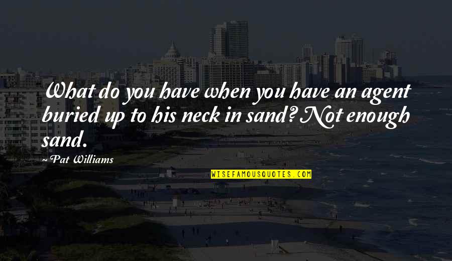 Funny Sand Quotes By Pat Williams: What do you have when you have an