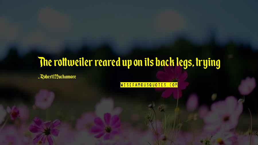 Funny Saturday Pictures And Quotes By Robert Muchamore: The rottweiler reared up on its back legs,