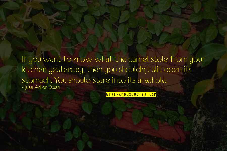 Funny Sayings Funny Quotes By Jussi Adler-Olsen: If you want to know what the camel Funny Sayings Funny Quotes By Jussi Adler-Olsen: If you want to know what the camel