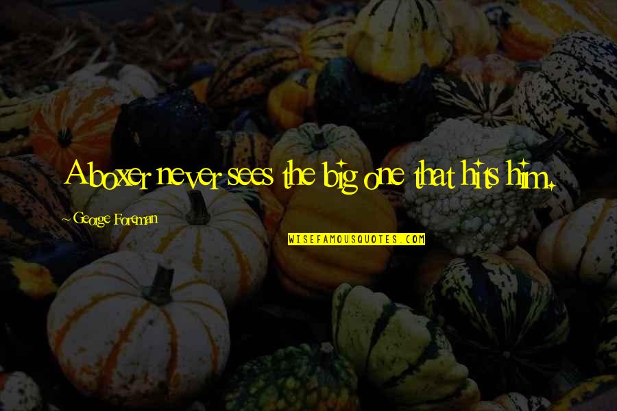 Funny Scolding Quotes By George Foreman: A boxer never sees the big one that Funny Scolding Quotes By George Foreman: A boxer never sees the big one that