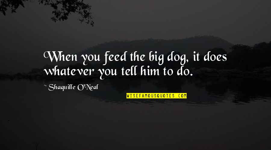 Funny Scuba Diving Quotes By Shaquille O'Neal: When you feed the big dog, it does