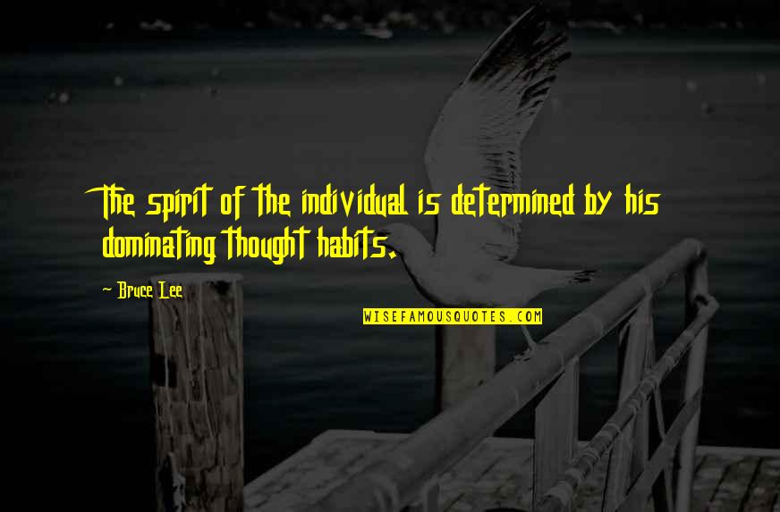 Funny Seabee Quotes By Bruce Lee: The spirit of the individual is determined by